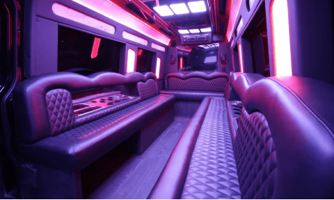 Santee 14 Passenger Sprinter Bus Interior