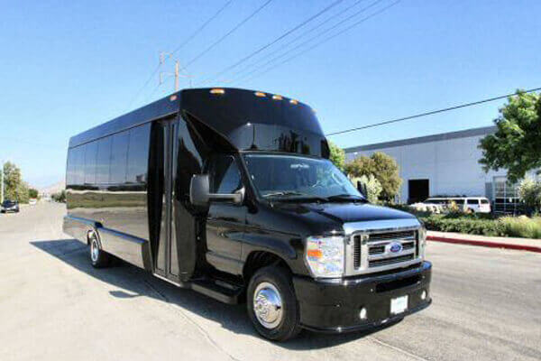 Vista 15 Passenger Party Bus