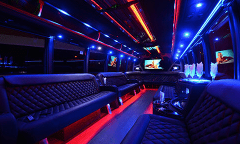 Vista 30 Passenger Party Bus Black Interior